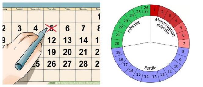 menstrual cycle calendar and safe days